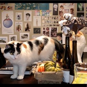 Meet your Posher, Yy_